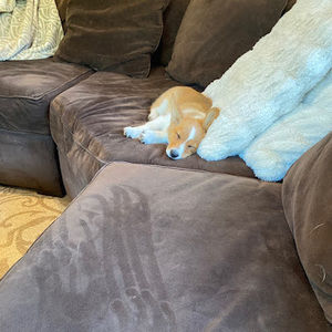 Meet your Posher, Hailey